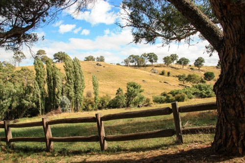 Byng Country